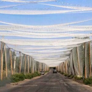 putinden donetsk teklifi CvyjPjfl