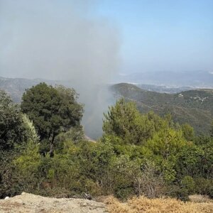 samandagda orman yangini sonduruldu dQRk1mL2