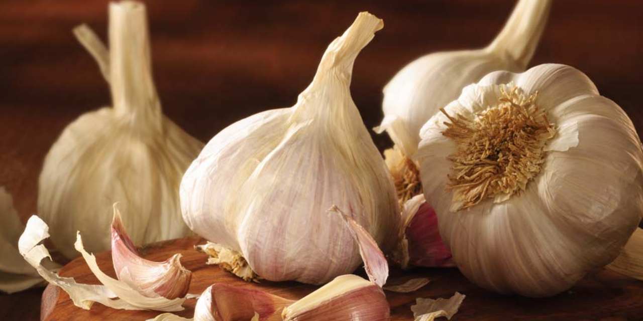 sarimsak yuzde 1300 zamlandi tOOQFklM