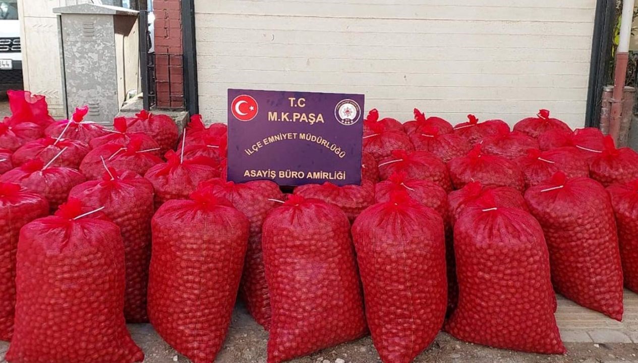 hirsizlar cuval cuval cevizle yakalandi ZzrLNsCg.jpg