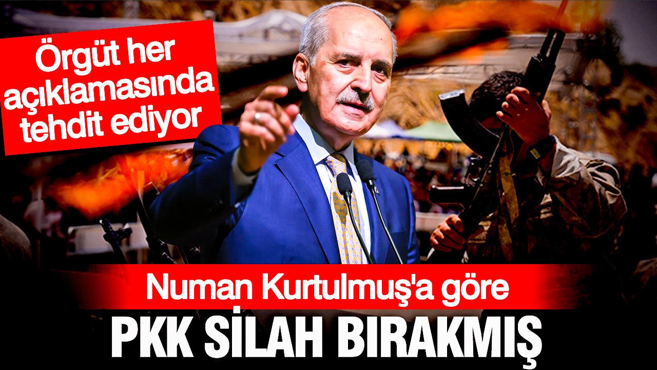 Haber gorseli